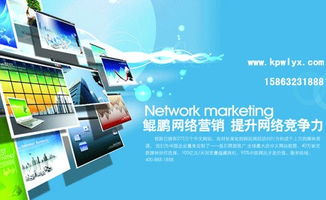 聊城互聯(lián)網(wǎng)營銷 哪家公司更專業(yè)？附高清針紡織品及原料銷售圖片
